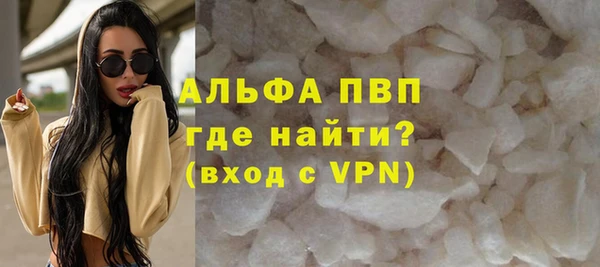 прущие грибы Пестово