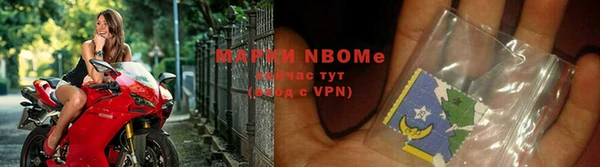 прущие грибы Пестово
