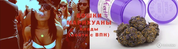 прущие грибы Пестово