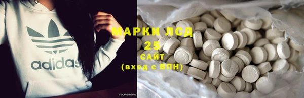 прущие грибы Пестово