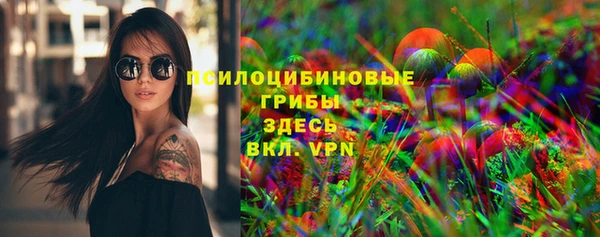прущие грибы Пестово