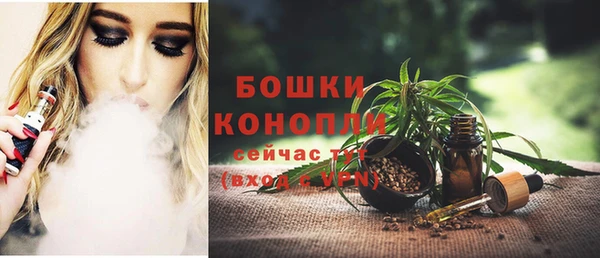 прущие грибы Пестово