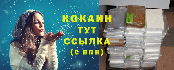 прущие грибы Пестово
