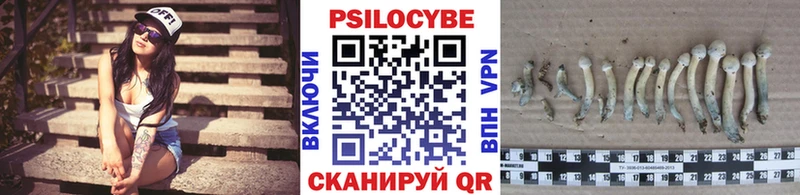 даркнет сайт  kraken как войти  Галлюциногенные грибы MAGIC MUSHROOMS  Белоярский 